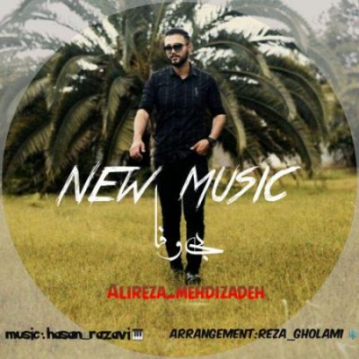 علیرضا مهدیزاده بی وفا