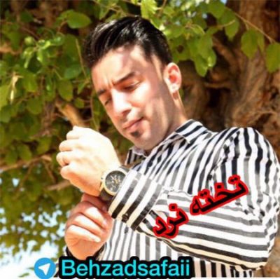 بهزاد صفایی تخته نرد