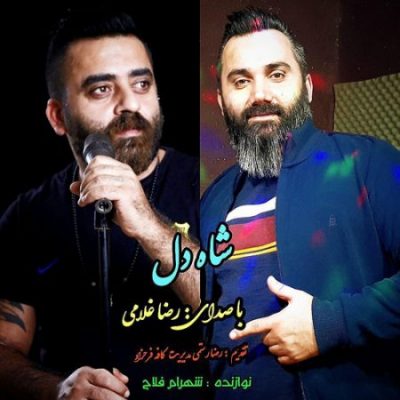 رضا غلامی شاه دل