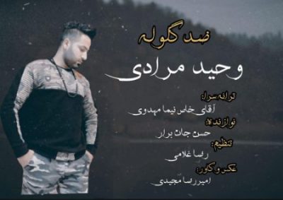 وحید مرادی ضد گلوله