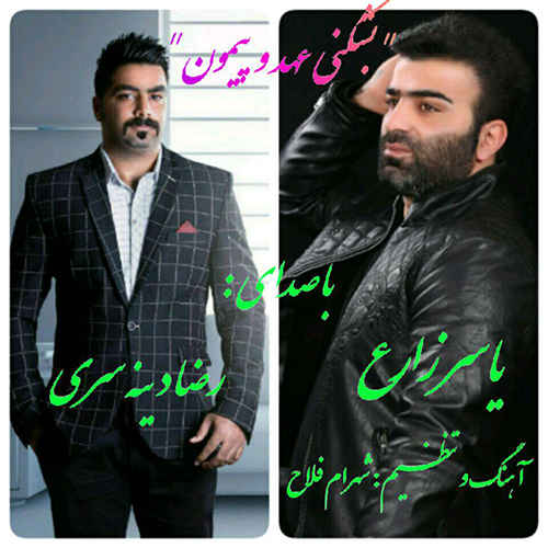 یاسر زارع عهد و پیمون