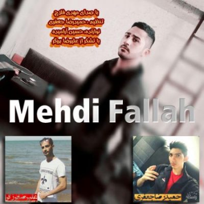 مهدی فلاح شبگرد