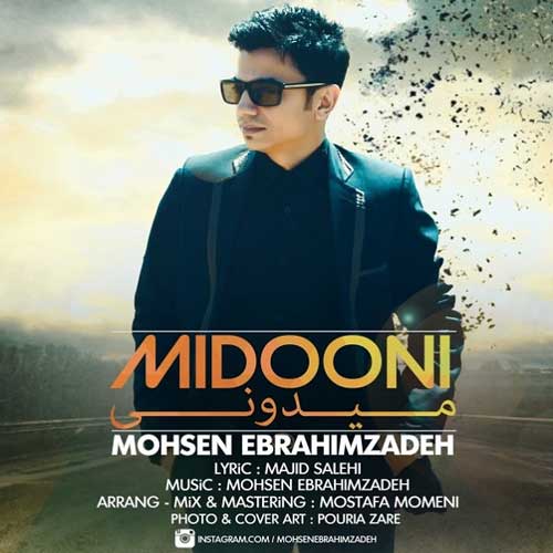 محسن ابراهیم زاده میدونی