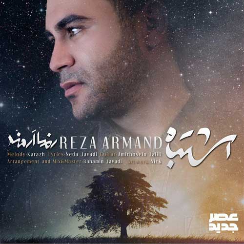 رضا ارمند اشتباه