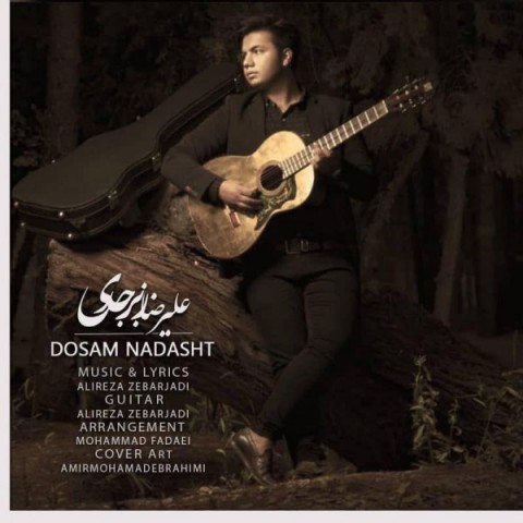 علیرضا زبرجدی دوسم نداشت