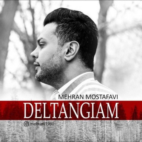 مهران مصطفوی دلتنگیام