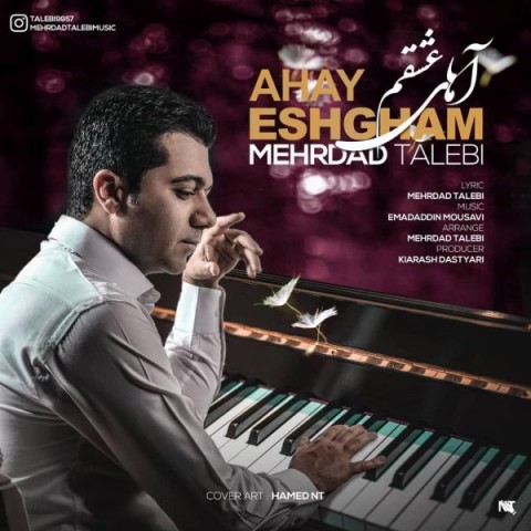 مهرداد طالبی آهای عشقم