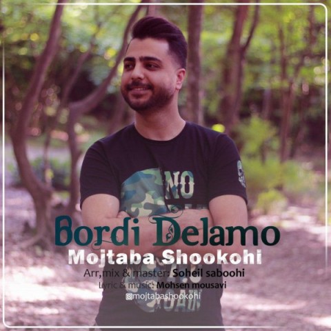 مجتبی شکوهی بردی دلمو