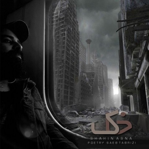 شاهین اسنا خاک