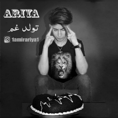 امیر آریا تولد غم