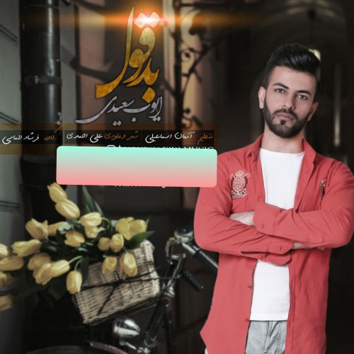  ایوب سعیدی بدقول