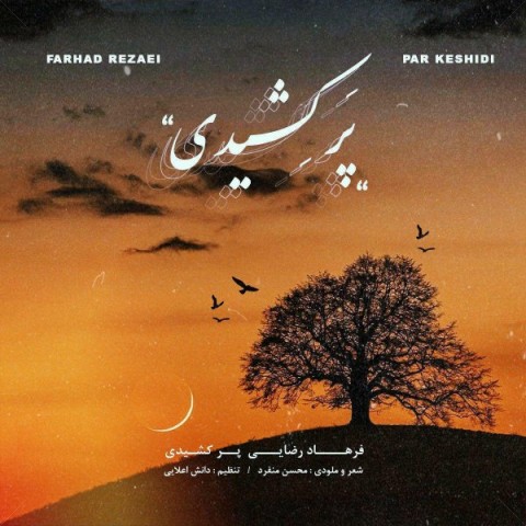 فرهاد رضایی پر کشیدی