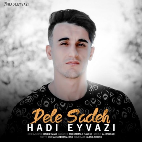 هادی عیوضی دل ساده