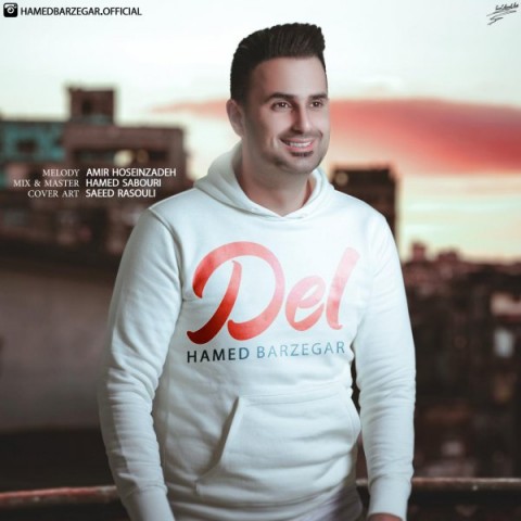 حامد برزگر دل