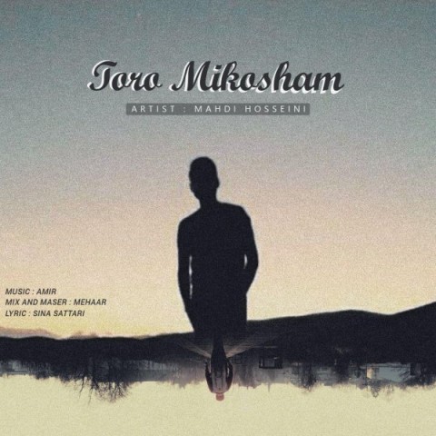 مهدی حسینی تورو میکشم