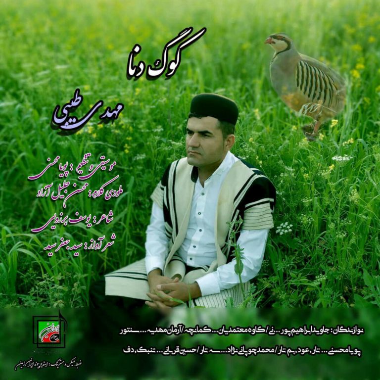 مهدی طیبی کوگ دنا