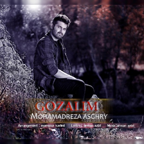 محمدرضا اصغری گوزلیم