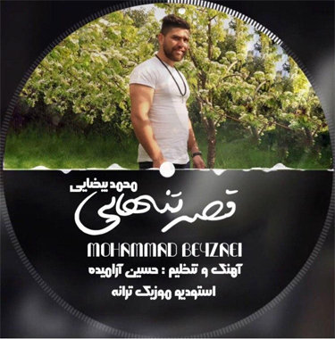 محمد بیضایی قصه تنهایی