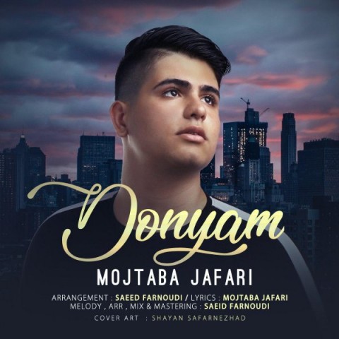 مجتبی جعفری دنیام