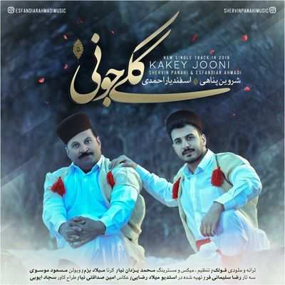 شروین پناهی ککی جونی