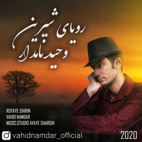 وحید نامدار رویای شیرین