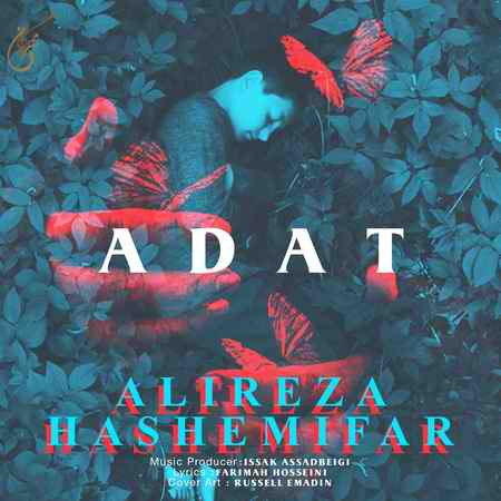 علیرضا هاشمی عادت