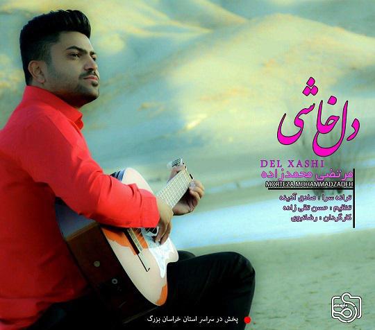 مرتضی محمدزاده دل خواشی