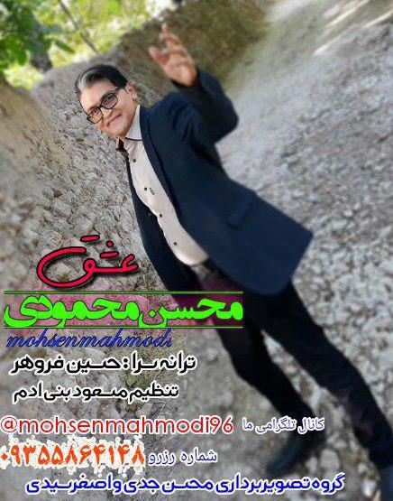 محسن محمودی عشق