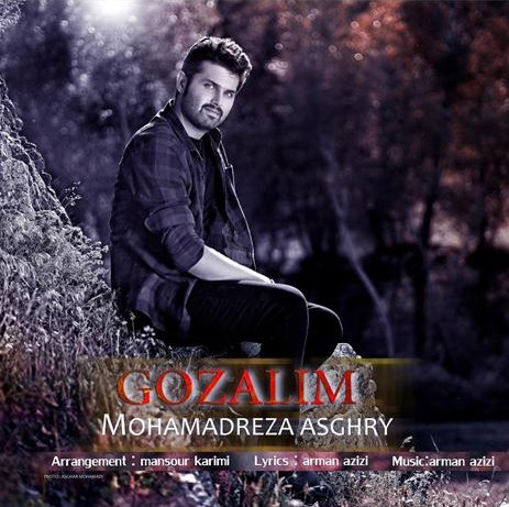 محمدرضا اصغری گوزلیم