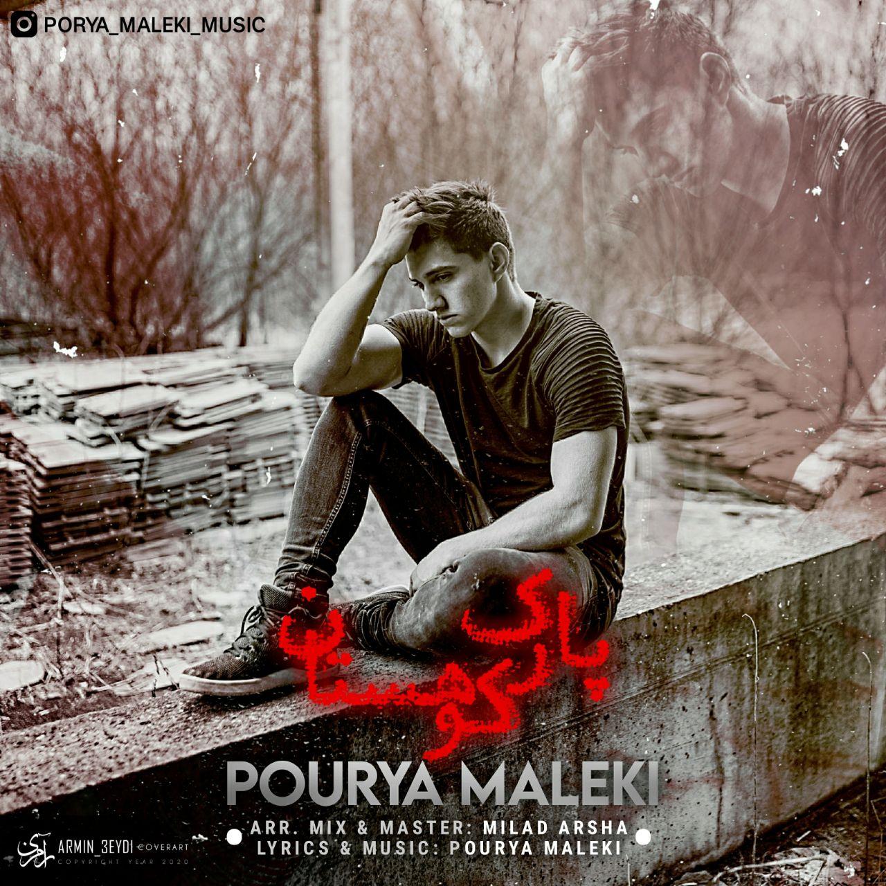 پوریا ملکی پارک کوهستان