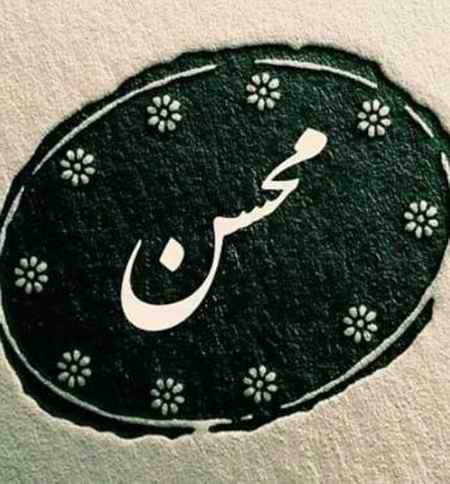 محسن چاوشی متاسفم برات