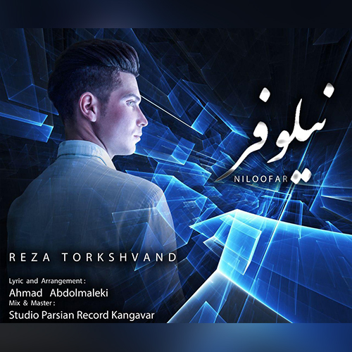 رضا ترکاشوند نیلوفر