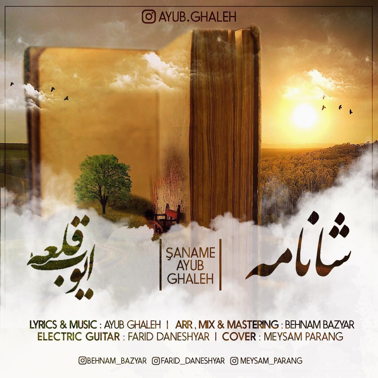 ایوب قلعه شانامه