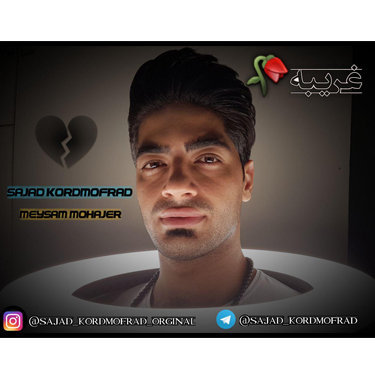 سامان نجفی و رضا مرادی غریبه