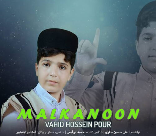 وحید حسین پور مالکنون