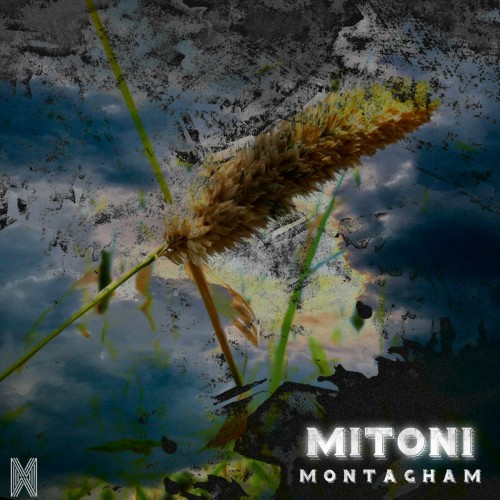 منتقم میتونی