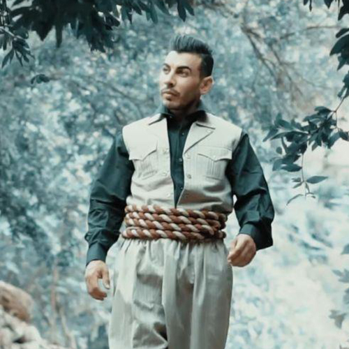 حامد نجاتی شقایق