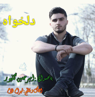 امیرحسین گلپور دلخواه