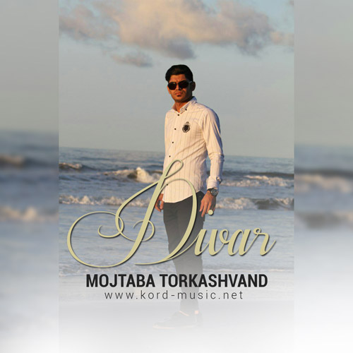 مجتبی ترکاشوند دیوار