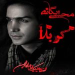 دانلود مداحی جدید کربلا از محسن یگانه