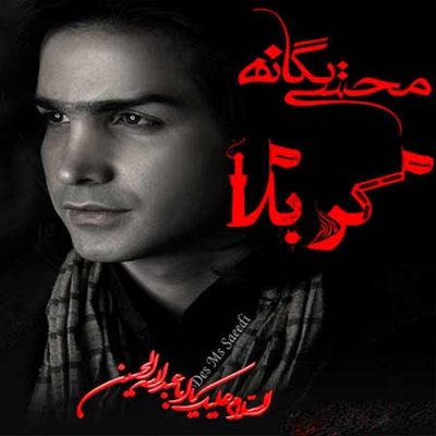 محسن یگانه کربلا