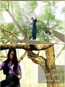 مجتبی ترکاشوند لالایی