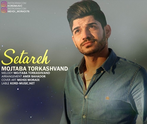 مجتبی ترکاشوند ستاره