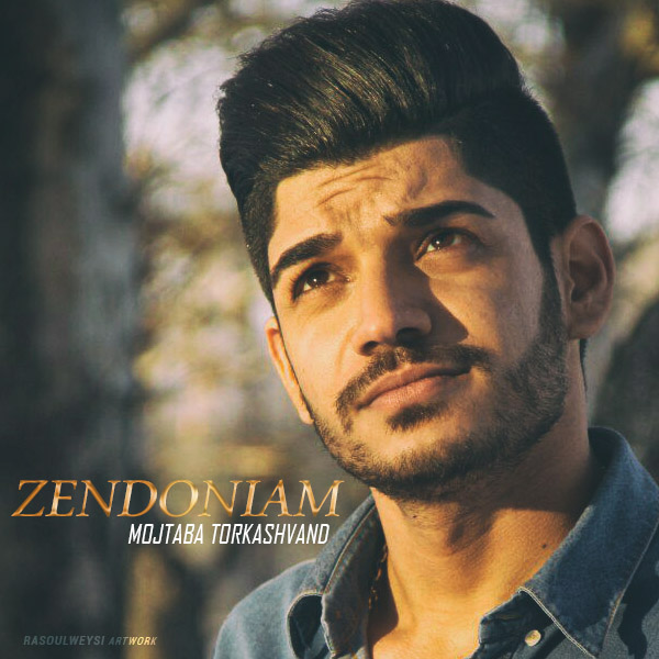 مجتبی ترکاشوند زندونیم