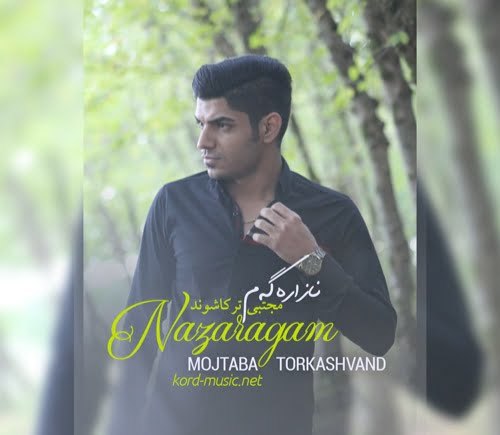 مجتبی ترکاشوند 