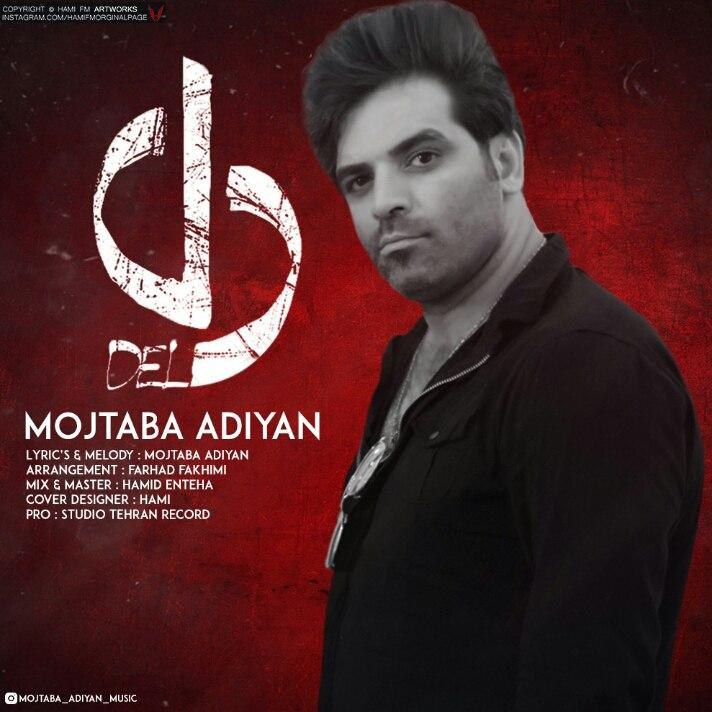 مجتبی آدیان دل