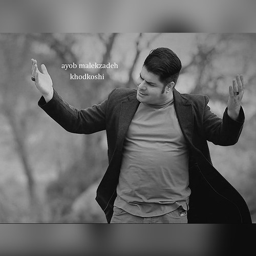 ایوب ملک زاده خودکشی