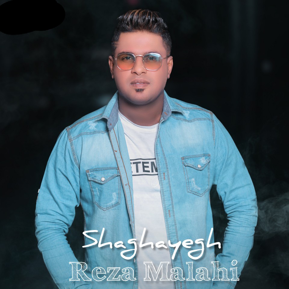 محسن لرستانی شقایق