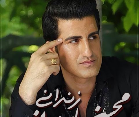 محسن لرستانی زندانی