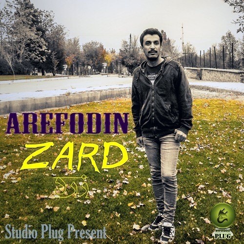 عارف الدین زرد